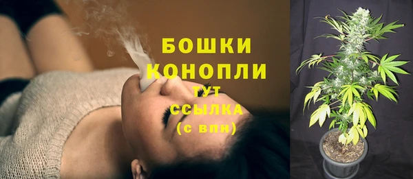молекула духа Магадан