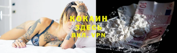 молекула духа Магадан