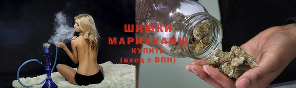 молекула духа Магадан