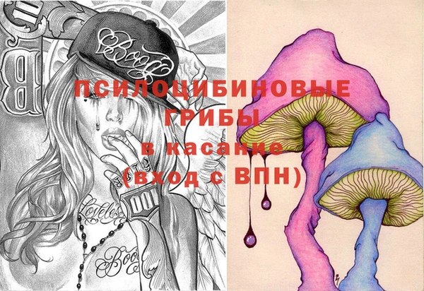 ECSTASY Магас