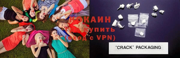 молекула духа Магадан