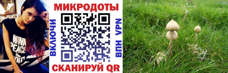 как найти   Мелеуз  ОМГ ОМГ маркетплейс  Псилоцибиновые грибы ЛСД 