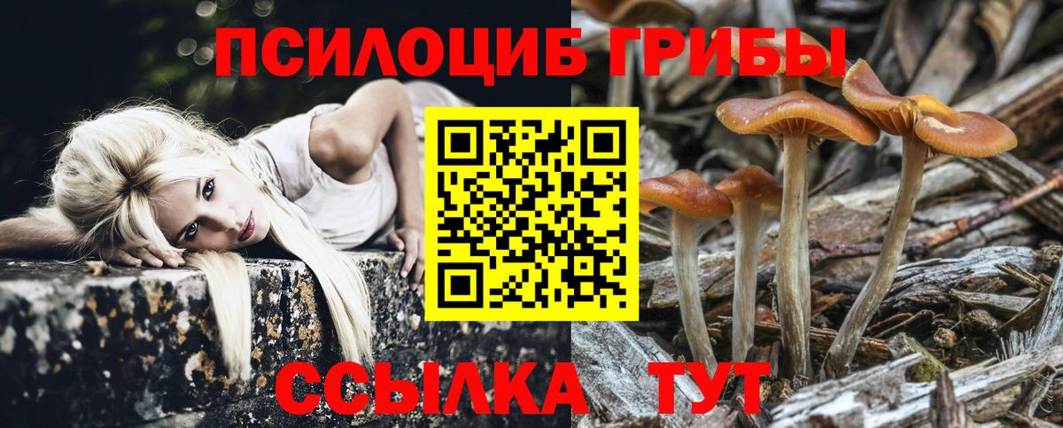 Галлюциногенные грибы Psilocybe Мелеуз