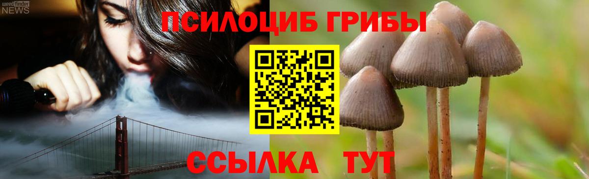 Мелеуз  Псилоцибиновые грибы Psilocybe  Вход с VPN 